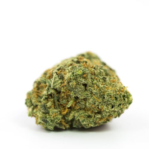 Blueberry Dream (Sativa-Dominant Hybrid)