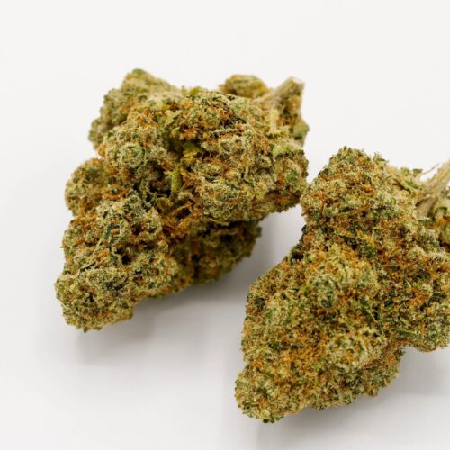 Lemon Haze (Sativa-Dominant Hybrid)