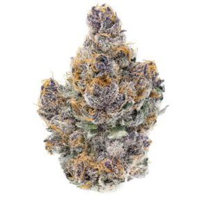 Cherry Alien (Hybrid)