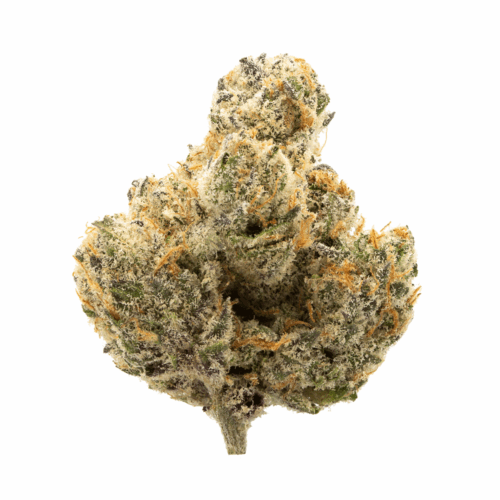 Maui Wowie (Sativa-Dominant)